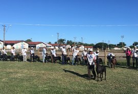 Expoalagoas Genética recebe palestra sobre seleção genômica nesta quinta (16)