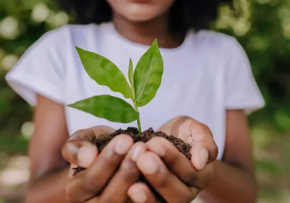 Prefeituras têm até o dia 14 para convocar as conferências municipais do Meio Ambiente