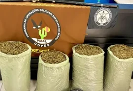 Homem abandona quase 32 kg de maconha e foge da polícia em Pariconha