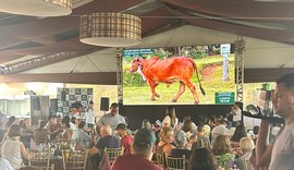 Leilão Mais Leite valoriza genética gir e girolando e faz média animal de quase R$17mil