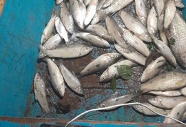 Mortandade de peixes acende alerta ambiental na Lagoa Jequiá
