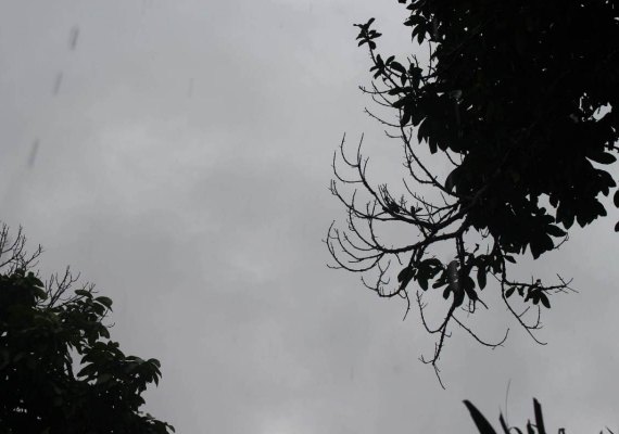 Feriado do Dia do Trabalhador em Alagoas tem previsão de chuva