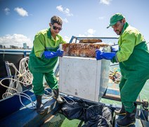 Ecoboats retiram mais de 260 toneladas de resíduos de biomas marinhos no primeiro semestre de 2025