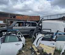 Operação policial flagra desmanche com 50 veículos em área de Maceió