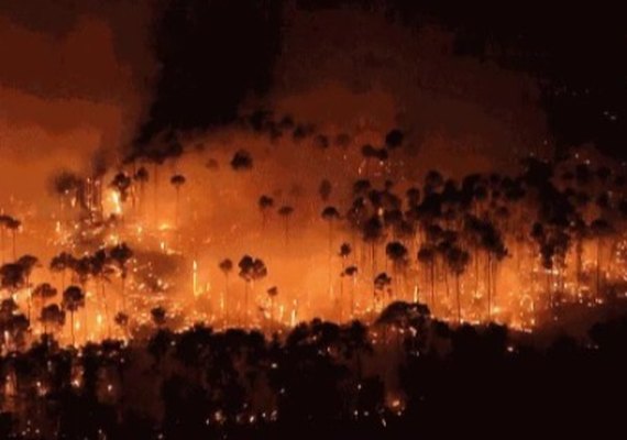 Brasil teve 11,39 milhões de hectares atingidos pelo fogo este ano