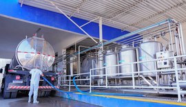 Batalha vira maior polo leiteiro da região Nordeste