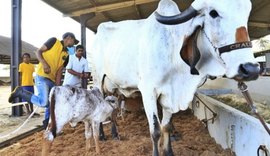 Expoagro deve movimentar R$ 9 milhões em negócios