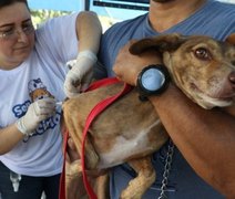 Alagoas inicia campanha de vacinação antirrábica para cães e gatos