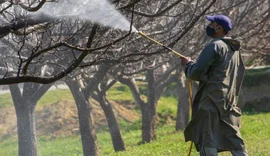 STF derruba regras que reduziam controle de qualidade de agrotóxicos