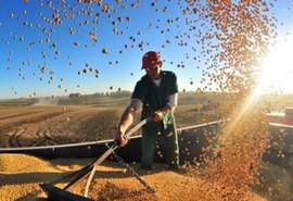 Alagoas se destaca e deve ter o maior crescimento do PIB no agronegócio no Nordeste