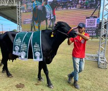 Ranqueada do Girolando terá maior participação de animais na 73ª Expoagro Alagoas