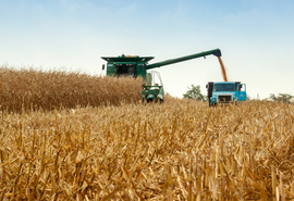 Cédulas de Produto Rural totalizam R$ 561 bilhões em fevereiro