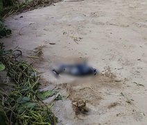 Ossada humana é encontrada em São Miguel dos Milagres e passa por processo de identificação