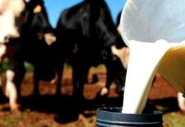Pesquisa coloca Alagoas como maior produtor de leite do Nordeste