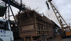 Clima seco antecipa fim da safra e reduz moagem na Usina Santa Clotilde, em Rio Largo