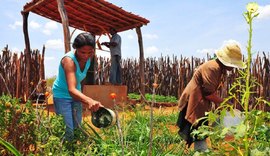 Banco do Nordeste injetou R$ 2,2 bilhões na economia de AL