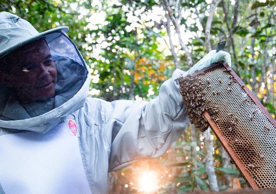 Setor de apicultura em Alagoas cresce com investimento do BNB