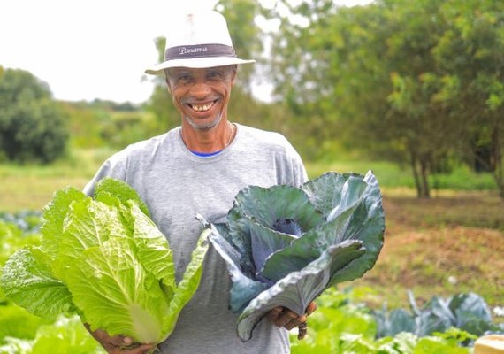 Município alagoano irá investir cerca de R$ 3 mi em alimentos da agricultura familiar