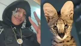 Conheça a raça de gato do rapper Oruam que pode custar até R$ 120 mil