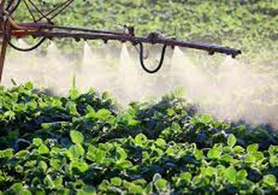 Escassez de insumos: prepare-se para falta de herbicidas em 2022