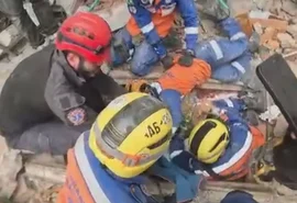 Cachorra é salva por brasileiros após 100 horas presa em escombros