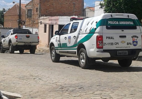 Polícia apreende pássaros silvestres e armas de fogo em Zona da Mata