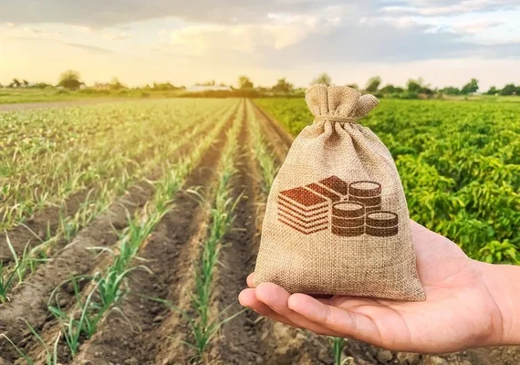 BR Agro Bank: produtores ganham novo banco digital voltado para seguros rurais
