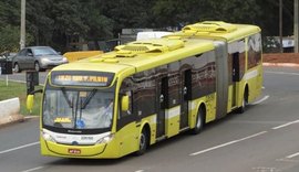 TJ/AL Considera inconstitucional lei que restringe gratuidade para deficientes em ônibus