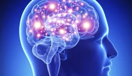 Ufal promove Semana do Cérebro com palestras e oficinas em março