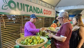 Feira da Agricultura Familiar e da Economia Solidária destaca diversidade produtiva e inovações no setor