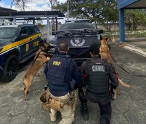 Passageiro de ônibus é preso com mais de 17 kg de maconha em São Sebastião