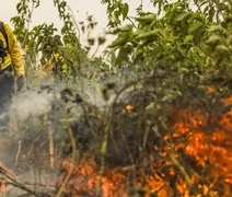 Brasil já registrou mais de 154 mil focos de calor este ano