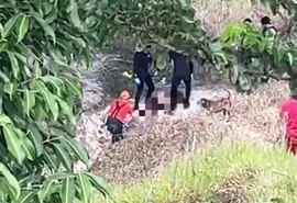 Corpo é encontrado debaixo de ponte em Branquinha
