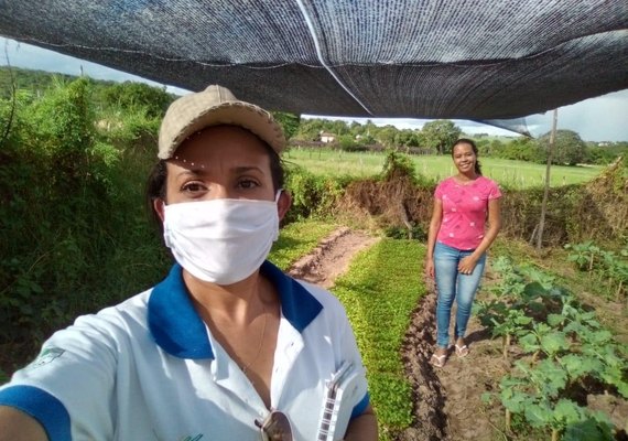 Senar orienta olerícolas de AL com ações preventivas contra pragas