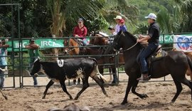 Expoagro 2025: prova de Ranch Sorting contará com categoria oficializada pela ABQM