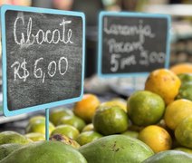 Feira de Alimentos Saudáveis valoriza pequenos produtores de Alagoas