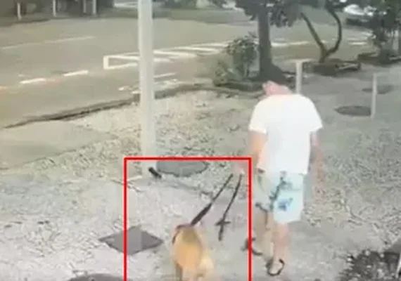Homem vira réu após ser filmado afogando o próprio cão em Copacabana