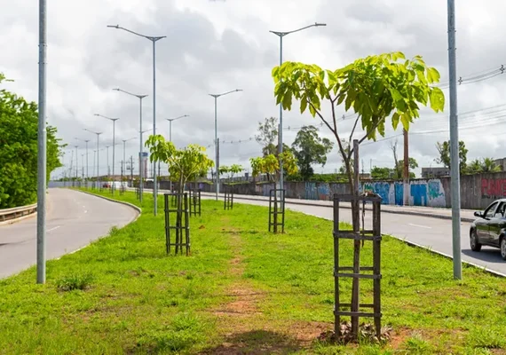 Anúncio de plantio de árvores pela Braskem em Maceió é tentativa de limpar imagem, diz ativista