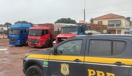 PRF apreende carga de 31 mil tijolos sem nota fiscal em Alagoas