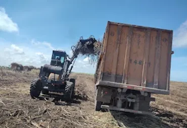 Apesar da safra de crescimento, fornecedores amargam queda na produção em Alagoas