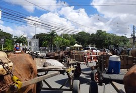 Carroceiros protestam e fecham trânsito no Centro de Maceió