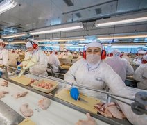 Exportações de carne de frango em 2025 devem subir