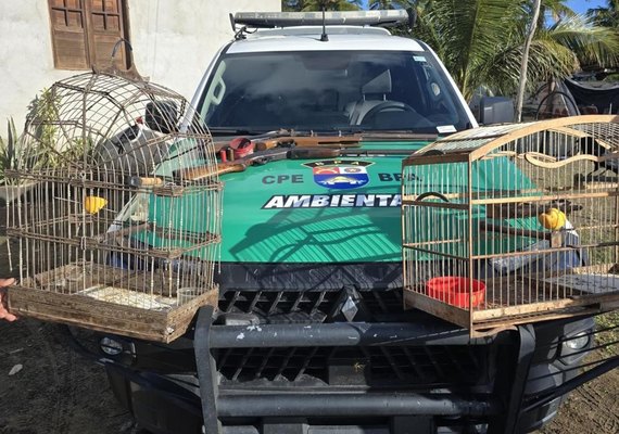 Três espingardas foram apreendidas e duas aves silvestres resgatadas durante fiscalização no interior de Alagoas