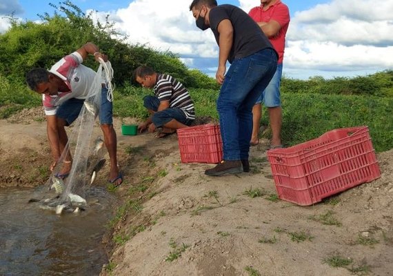 Piscicultores recebem apoio técnico para acompanhar criação de Tilápias em Delmiro