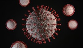 Estado registra 541 casos e 20 óbitos pela covid-19 em 24 horas