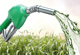 Governo estuda pacote de auxílio ao setor de etanol