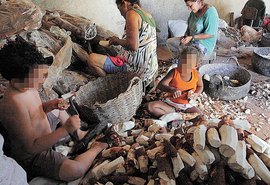 MPT lança observatório informativo sobre trabalho infantil