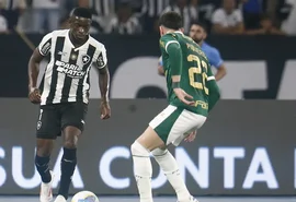 Botafogo recebe Palmeiras no primeiro jogo das oitavas da Libertadores