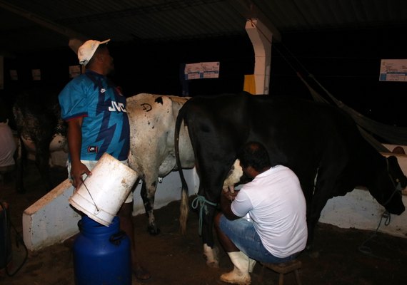 Torneio Leiteiro da ExpoBacia será exclusivo para agricultura familiar