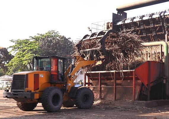 Fornecedores de cana têm safra de quase 8 mi de toneladas e apostam em crescimento para 22/23
